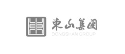 東山集團(tuán)網(wǎng)站建設(shè)