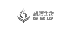 根源生物集團(tuán)網(wǎng)站建設(shè)