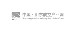 山東航空協(xié)會(huì)網(wǎng)站建設(shè)