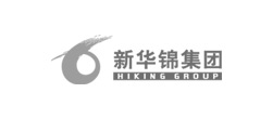 新華錦集團(tuán)網(wǎng)站建設(shè)