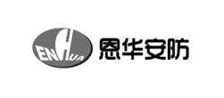 恩華安防網(wǎng)站建設(shè)