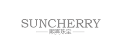 熙真鉆石網(wǎng)站建設(shè)