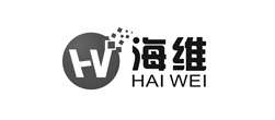 海維外貿(mào)網(wǎng)站建設(shè)