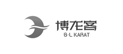 博龍客青島LOGO設(shè)計(jì)
