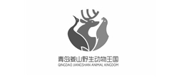 裕舜達(dá)旅游青島網(wǎng)站建設(shè)