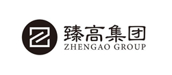 臻高集團(tuán)logo設(shè)計(jì)